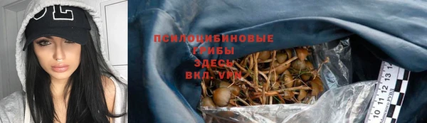 бутират Белокуриха